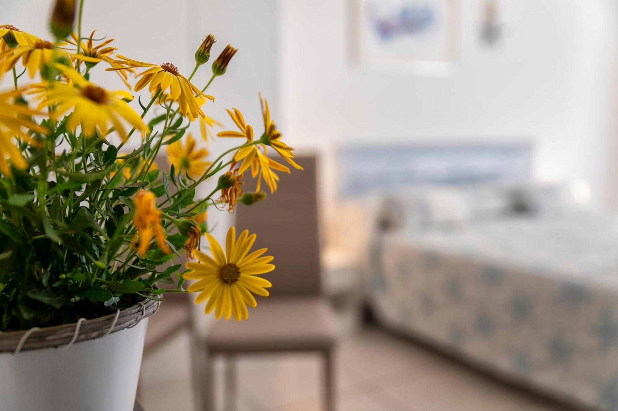 Bed and Breakfast Horizon Alguer Exterior foto